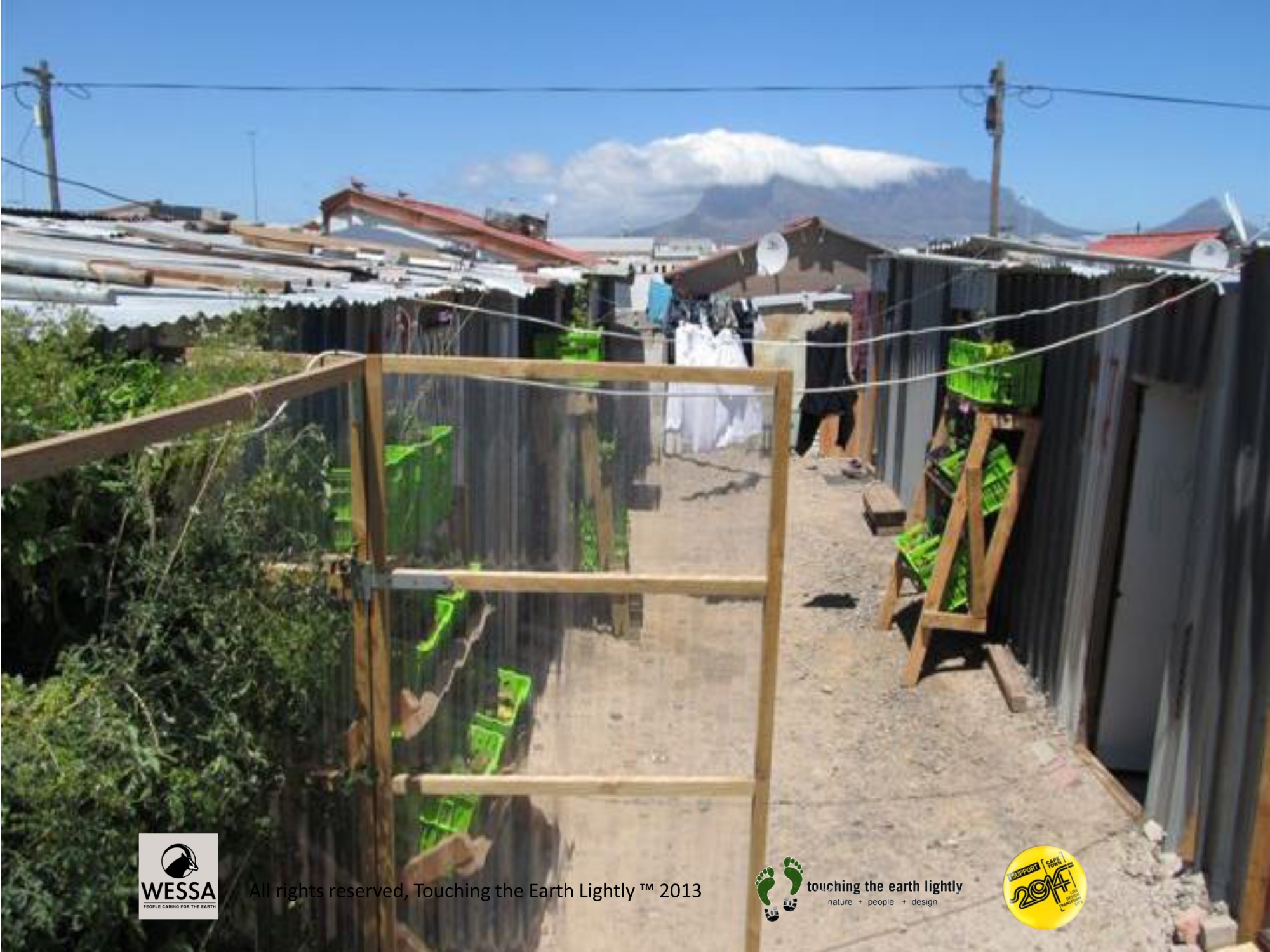 The Green Shack at Design Indaba 2013 Design Indaba