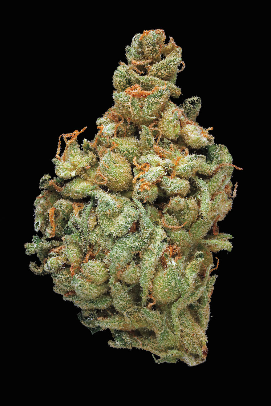 Chronicle releases scientific guide to Marijuana | Design Indaba