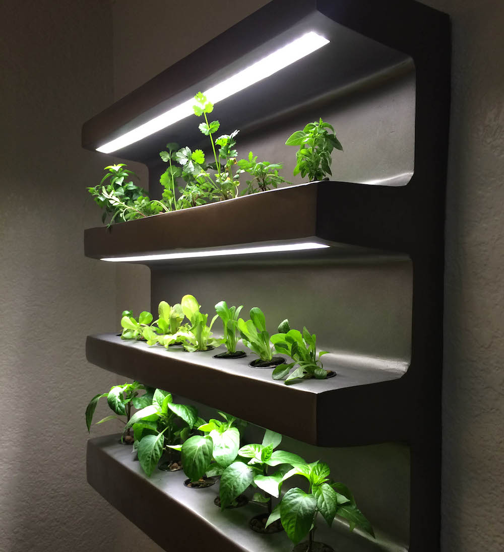 An app-assisted home vegetable garden | Design Indaba