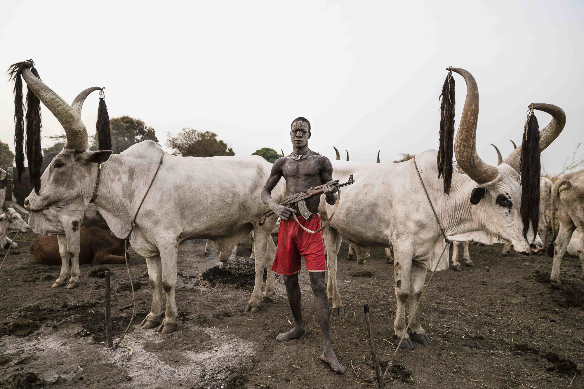 Photography series focusses on the Mundari cattle herders of South