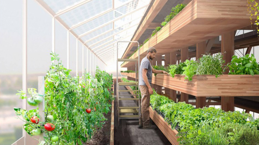 4 Innovative ways to locally grow food | Design Indaba
