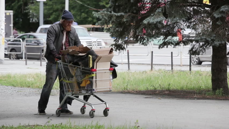 Image result for homeless shopping cart