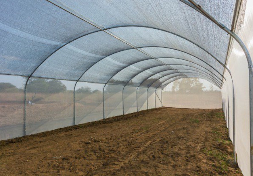 Greenhouse in a Box