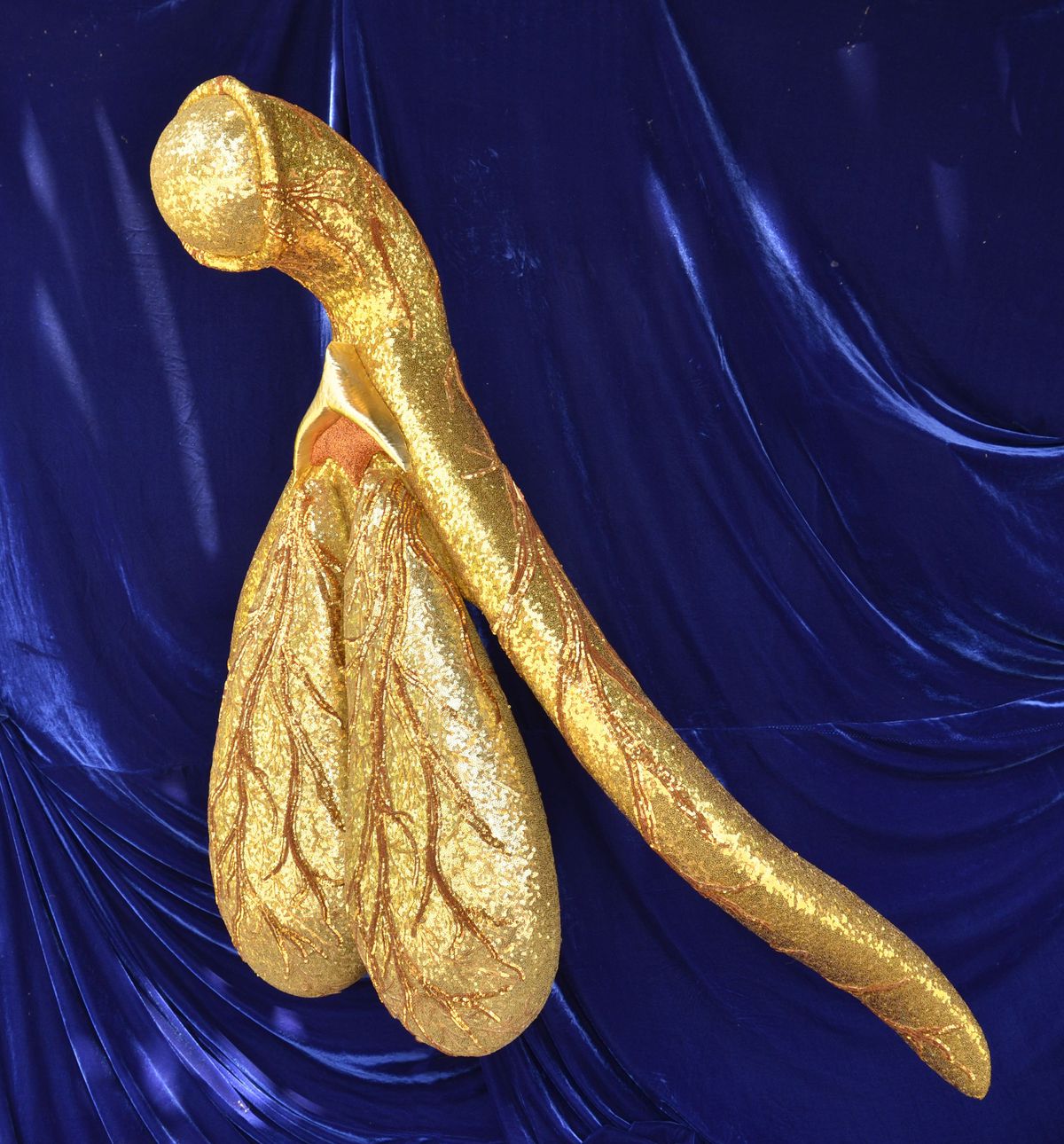 A golden way to draw attention to an overlooked piece of female anatomy Design Indaba