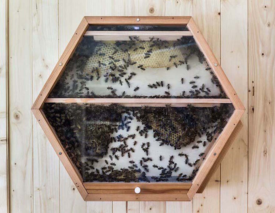 Beecosystem