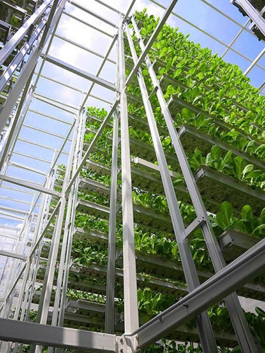 Vertical Farms