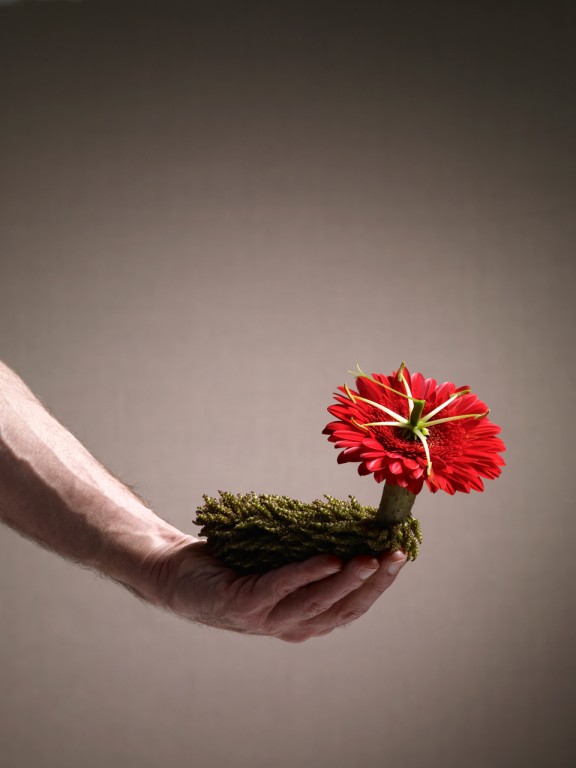 Floral fun | Design In...