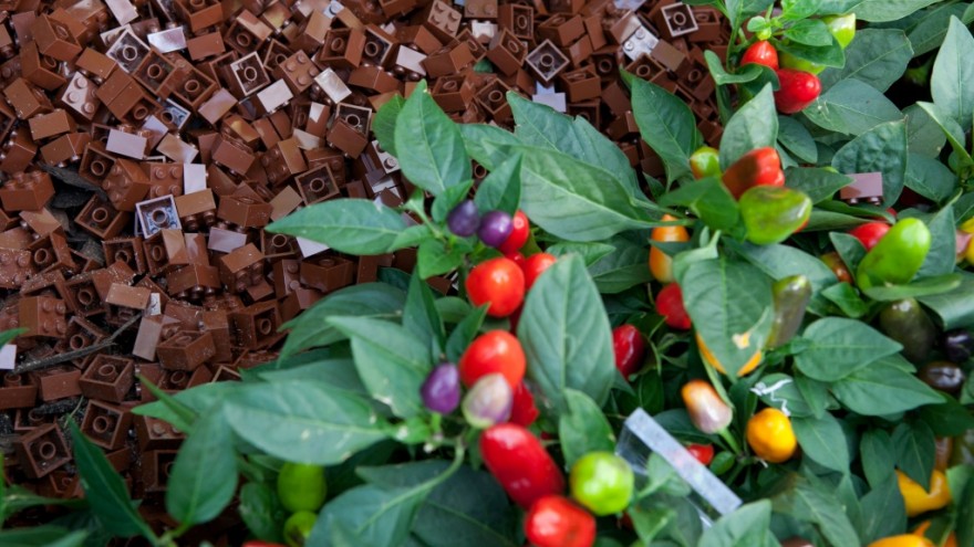 Lego Greenhouse at London2011. 