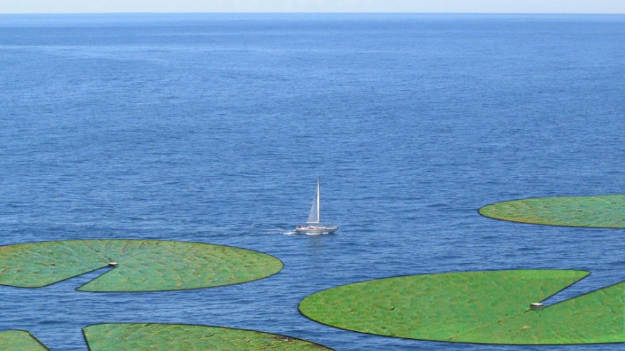 A Biophotovoltaic power station consisting of algae-coated 'lily pads'.