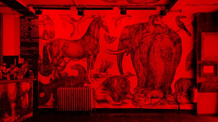 Images by Jeff Metal courtesy of JaguarShoes Collective.  