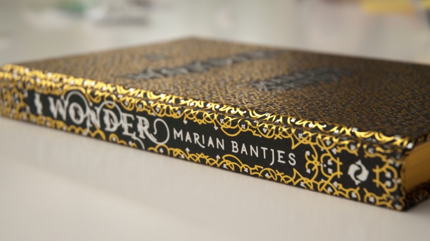 I Wonder by Marian Bantjes. 