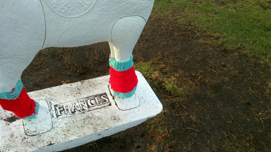 Yarn Bombing in Cape Town by Isabeau Jourbert.  