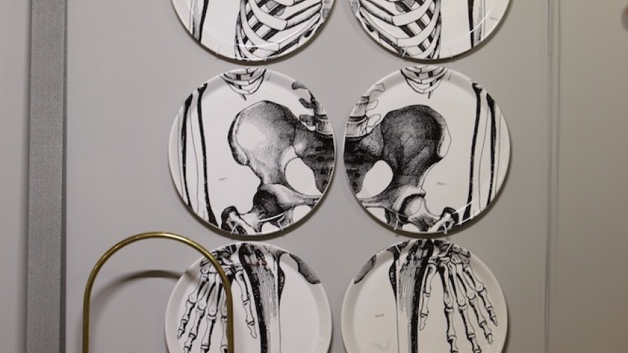 Studio 19 plates with skeleton design. 