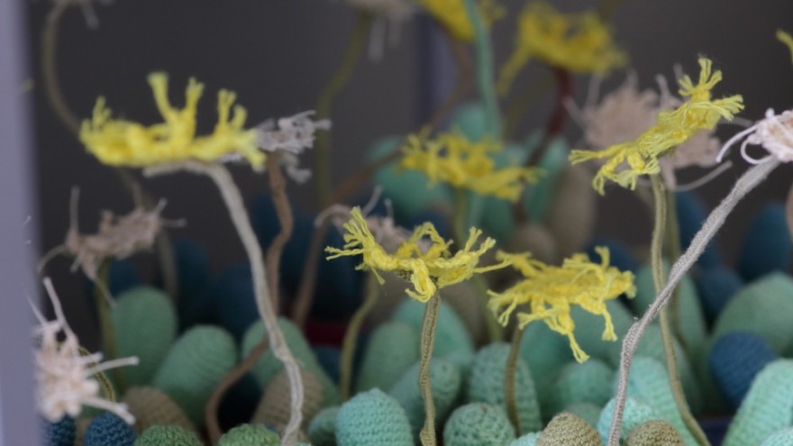 Projekt’s designs are a collaborative process. For example, Becker had been collecting cacti and brought some of them to the women with the idea that they could be crocheted. They created and developed samples and now produce a variety of cacti from large monochrome decor pieces to colourful jewellery. Image: Henk Hattingh.