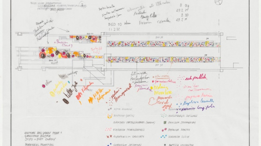 Eastern Railyards Phase 1. Grassland buffer, 2012. Image: Piet Oudolf and Hauser & Wirth. 