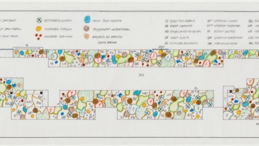 Planting design lower level. No. 5 Culture Chanel, Palais de Tokyo, Paris, France, 2013. Image: Piet Oudolf and Hauser & Wirth. 