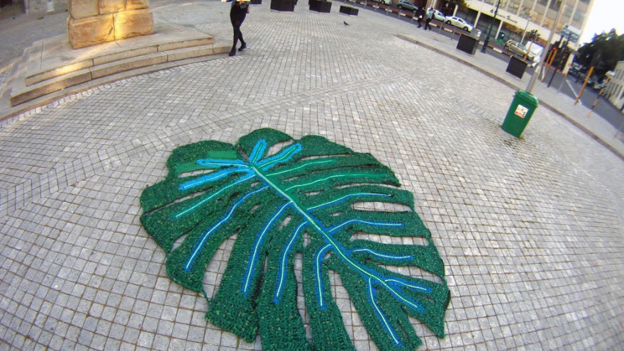 Yarn bombing in Cape Town by Isabeau Joubert. 