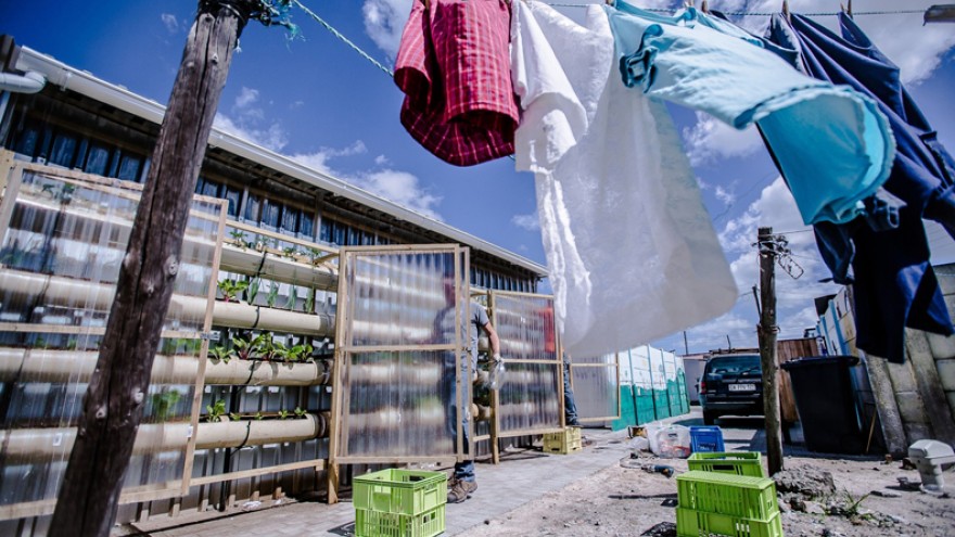 Vertical food garden at Gege crèche in Langa. Image: Sandy Greenway.