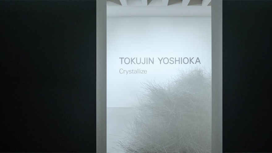 Crystallize exhibition by Tokujin Yoshioka. 
