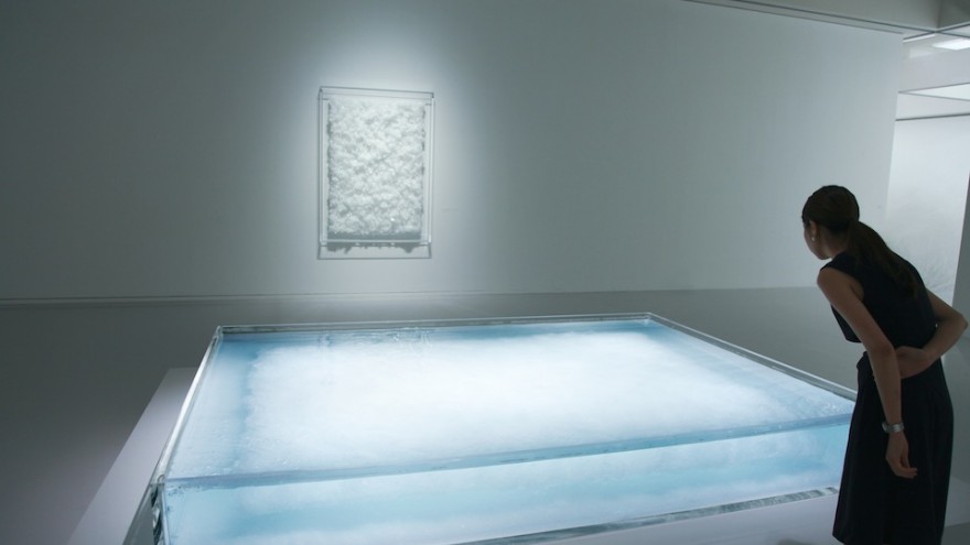 Crystallize exhibition: Swan Lake by Tokujin Yoshioka. 