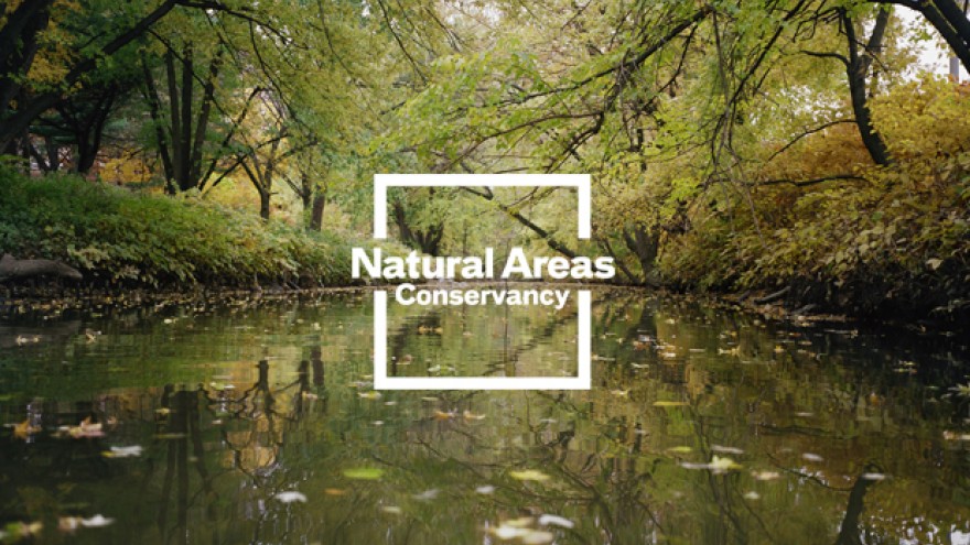 Natural Areas Conservancy of New York City identity by Paula Scher. 