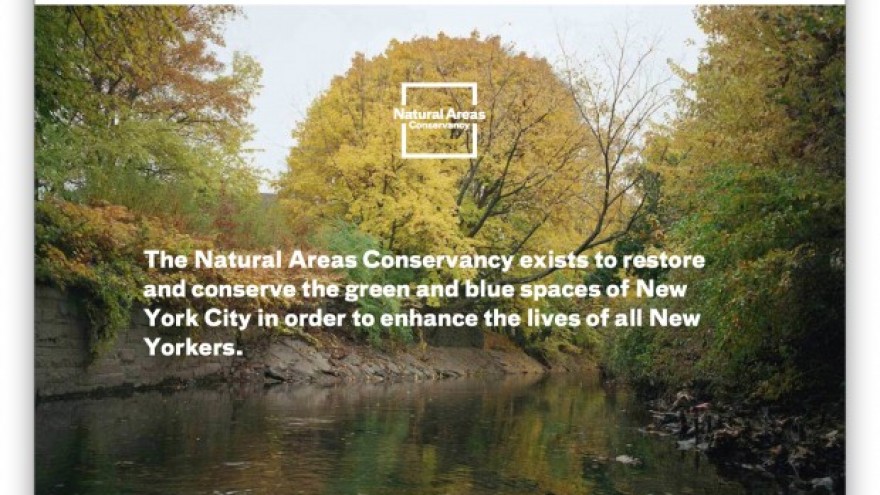 Natural Areas Conservancy of New York City identity by Paula Scher. 