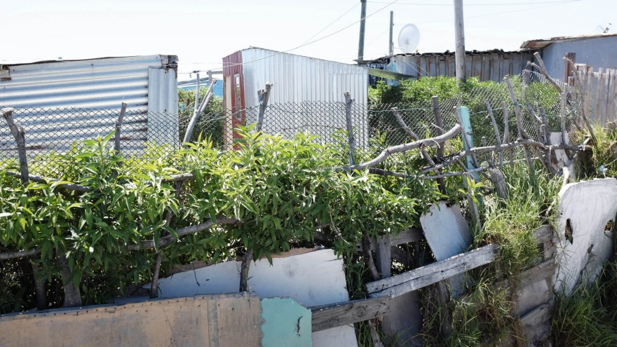 Monwabisi Park, Khayelitsha