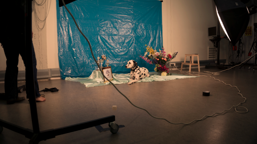 Behind the scenes on Olivia's shoot. 