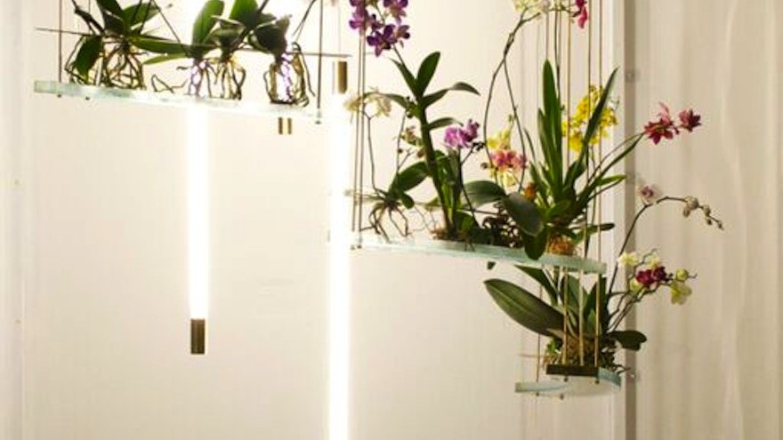 Flow is an indoor ecosystem designed by Begum and Bike Ayaskan, which mimics the sensory experience of nature.