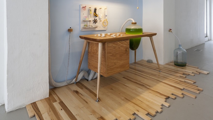 Jacob Douenias and Ethan Frier's exhibition "Living Things", photos by Tom Little, courtesy of the Mattress Factory