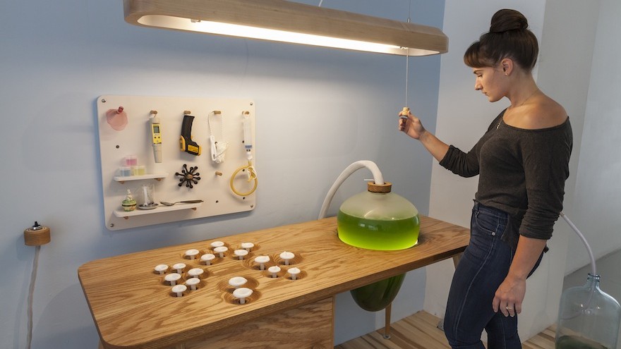 Jacob Douenias and Ethan Frier's exhibition "Living Things", photos by Tom Little, courtesy of the Mattress Factory