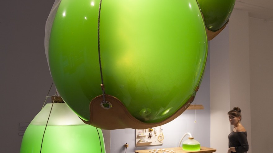 Jacob Douenias and Ethan Frier's exhibition "Living Things", photos by Tom Little, courtesy of the Mattress Factory