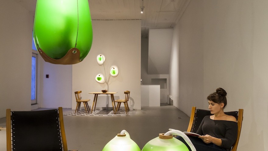 Jacob Douenias and Ethan Frier's exhibition "Living Things", photos by Tom Little, courtesy of the Mattress Factory
