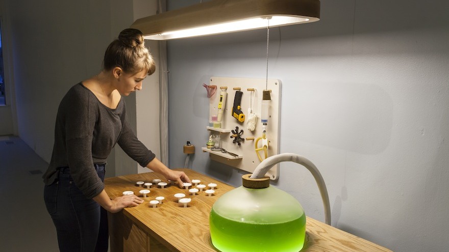 Jacob Douenias and Ethan Frier's exhibition "Living Things", photos by Tom Little, courtesy of the Mattress Factory