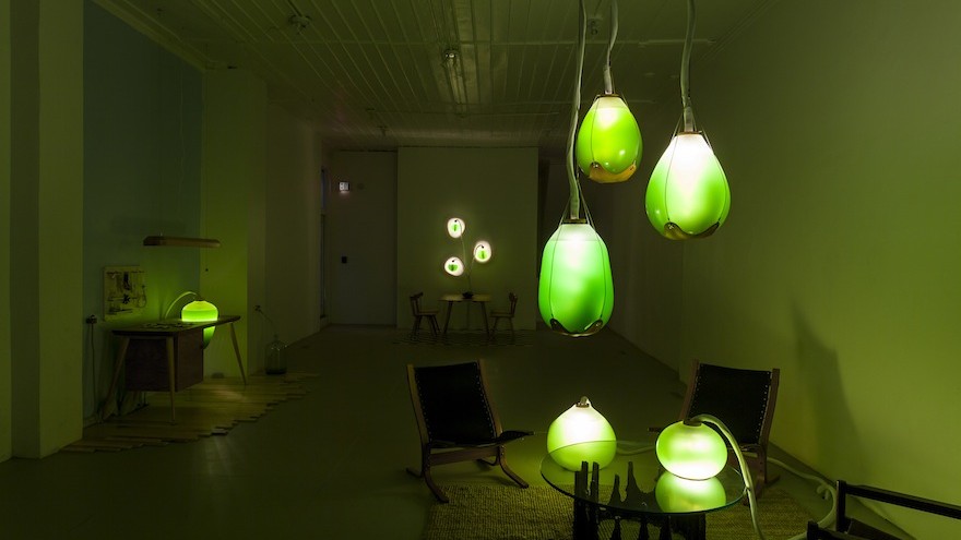 Jacob Douenias and Ethan Frier's exhibition "Living Things", photos by Tom Little, courtesy of the Mattress Factory