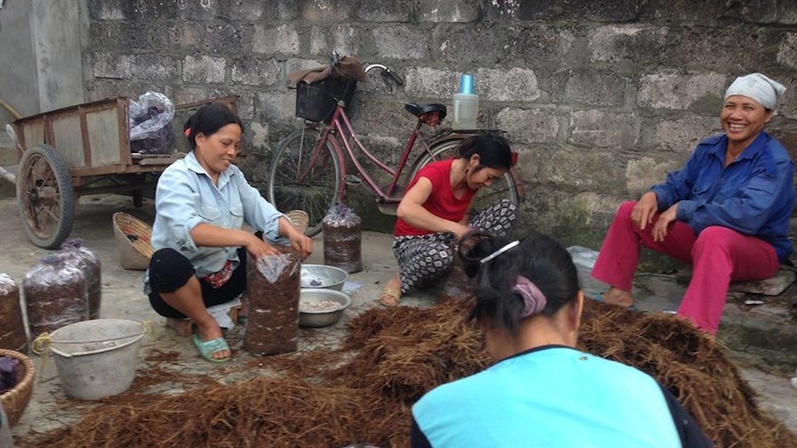 Fargreen: A social entrepreneur in Vietnam uses mushrooms to help the environment and provide the local farming community with a sustainable income