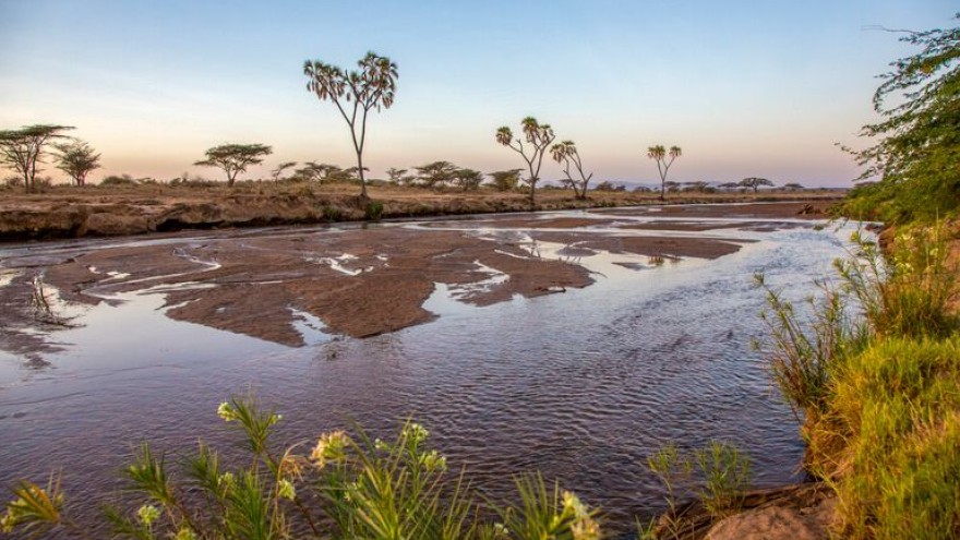 Early morning on the Uaso Nyiro River one kilometer away.