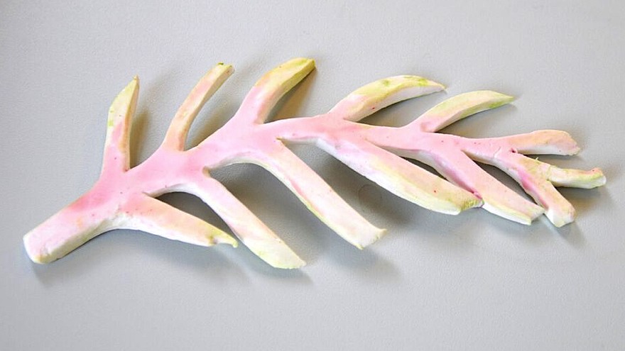 Plant Bones by Marije Vogelzang