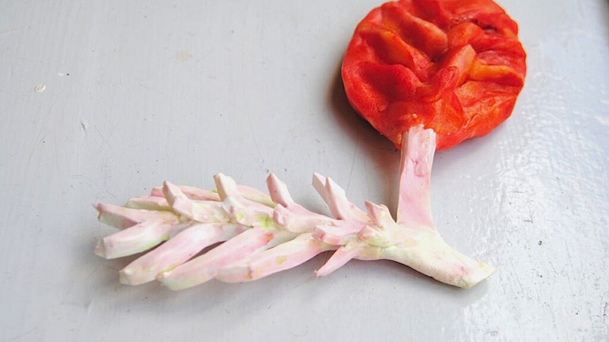 Plant Bones by Marije Vogelzang