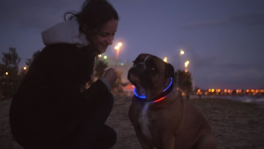buddy smart collar