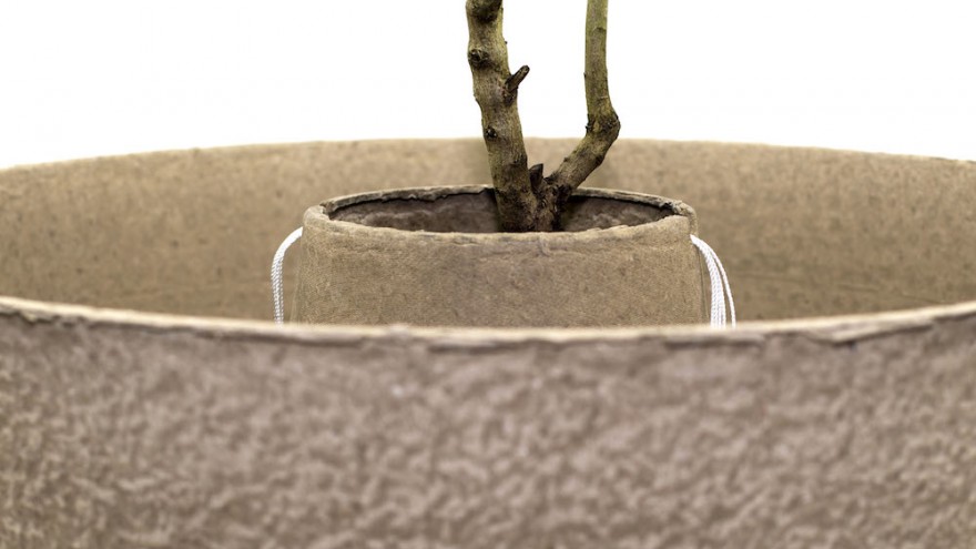 COCOON by Land Life Company