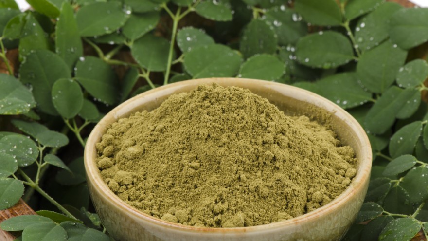 Packed with nutritional and healing properties, several reports have named Moringa, a tree indigenous to Africa, "the miracle tree" and "the tree of life".