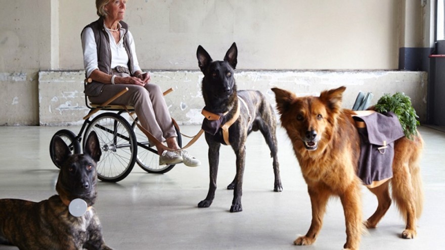 Design Academy Eindhoven student Archibald Godts considers the future of frail care where dogs become helpers to those too frail to care for themselves. 
