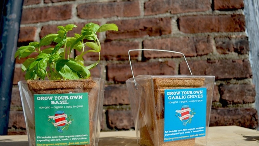 Takeout container turned mini-greenhouse makes growing food easy.