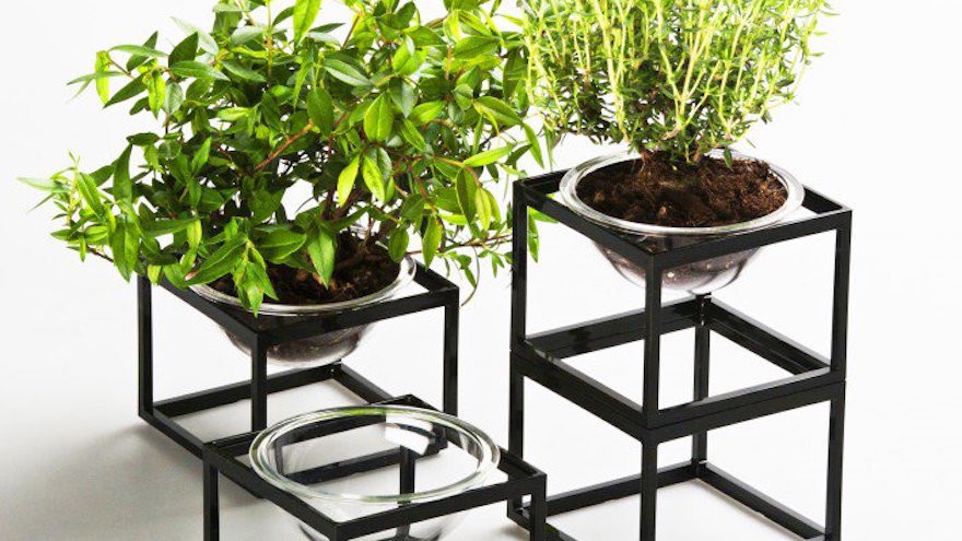 Planet without the "E" Mini Planter Set by Yu Hiraoka for Yu Hiraoka Design. Silver A' Design Award Winner for Furniture, Decorative Items and Homeware Design Category in 2014