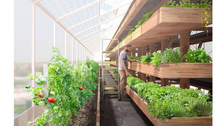 The farm tower's design maximises on sunlight exposure. 