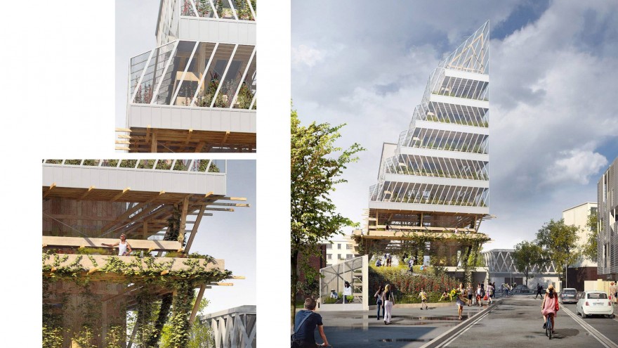 The farm tower's design maximises on sunlight exposure. 