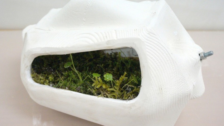 "Moss Voltaics"