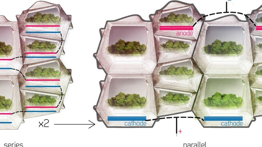 "Moss Voltaics"