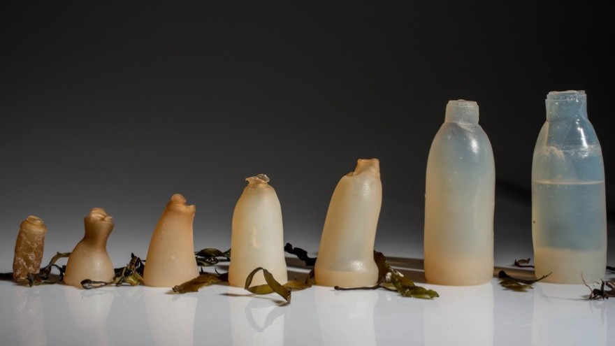 Biodegradable water bottle by Ari Jónsson